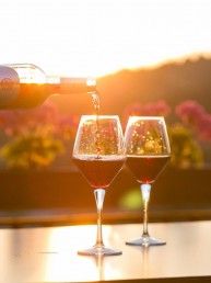 vinos-tintos