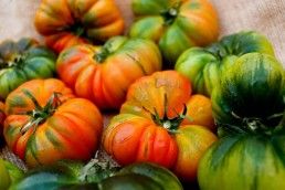 usar-tomate-raf