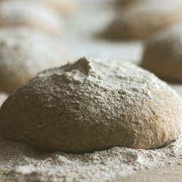 masa-harina-casa-emiliana
