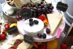 queso-parmesano-y-brie
