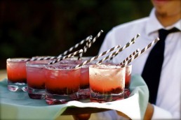 catering-coctel