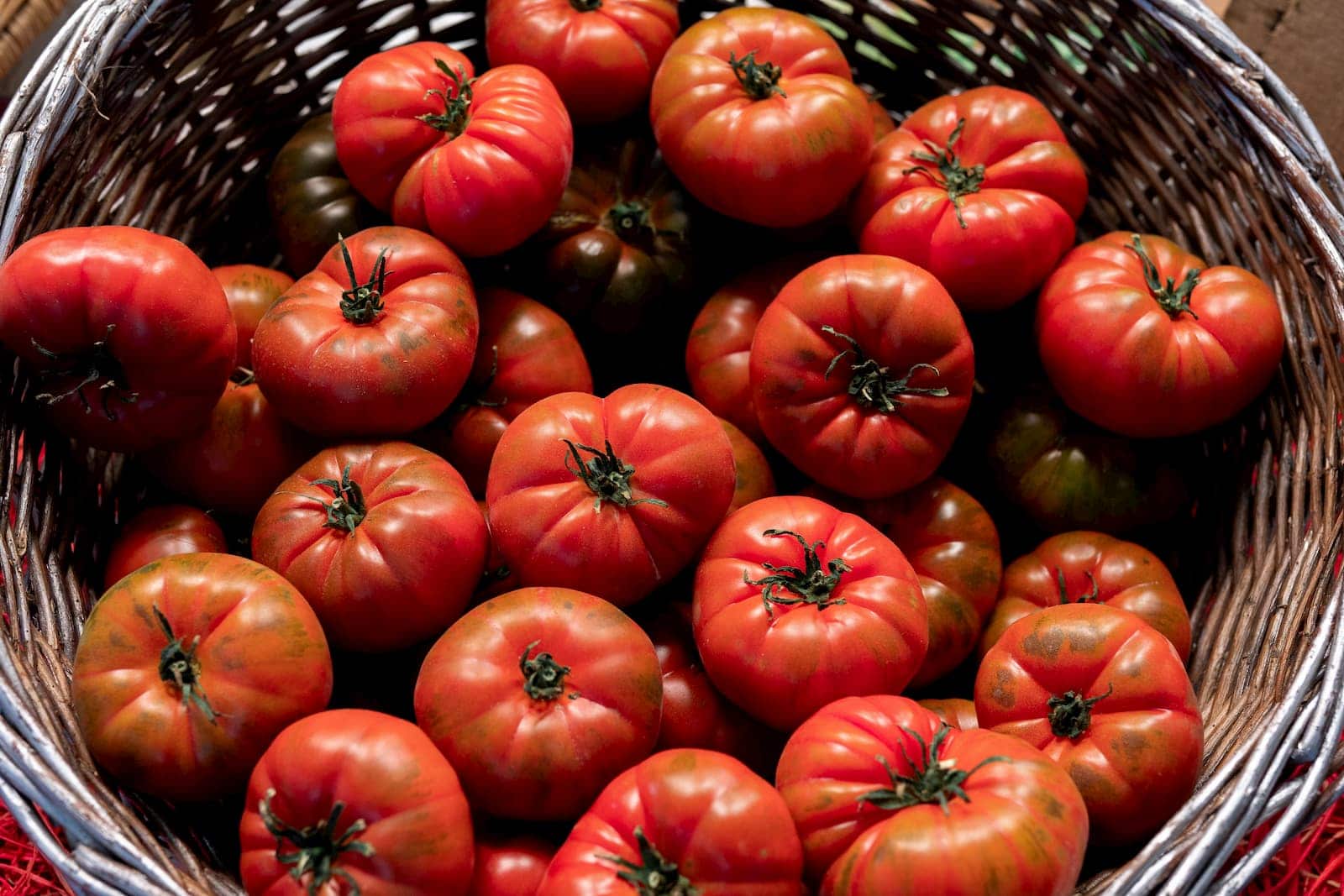 Tomate Raf: Curiosidades Del Rey De Los Tomates