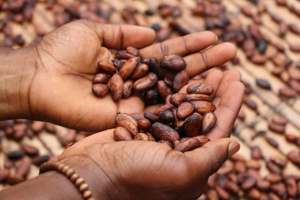 beneficios cacao